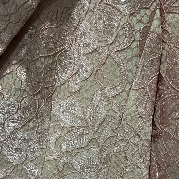 ALEXIA ADMOR Jessica Peak Lapel Lace Blazer In Blush - Picture 4 of 5